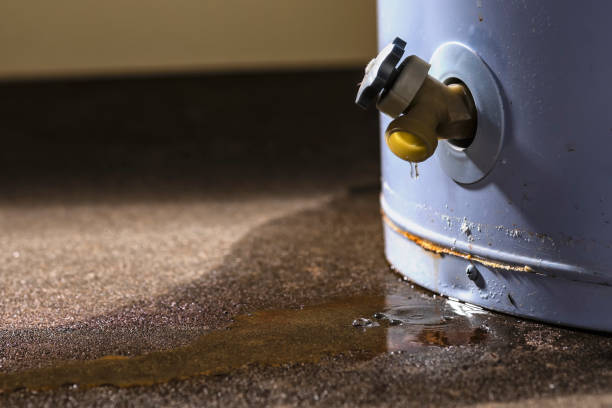 Best Mold removal after water damage  in North Wildwood, NJ