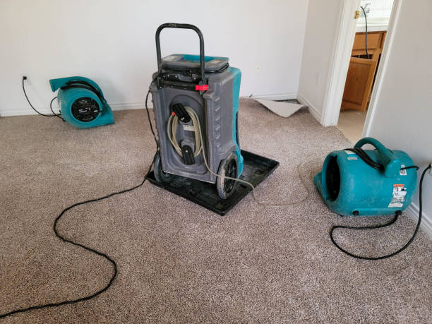 Reliable North Wildwood, NJ Water damage restoration Solutions