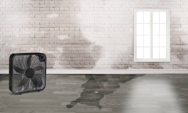 Best Local water damage restoration  in North Wildwood, NJ