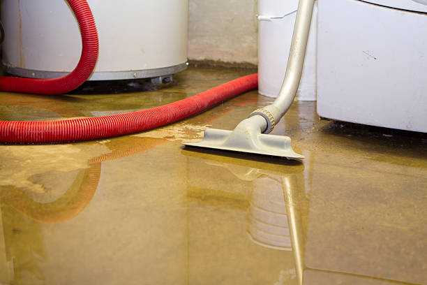 Best Sewage cleanup and water damage restoration  in North Wildwood, NJ